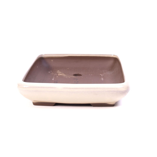 Pot à bonsaï crème rectangulaire 21,5 cm
