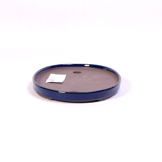 Bac à bonsaï bleu ovale bas 37 cm