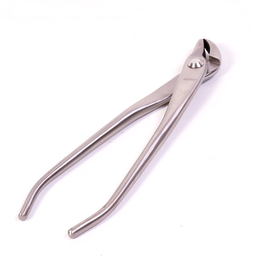 Jintang à bec courbé, acier inoxydable, qualité supérieure japonaise