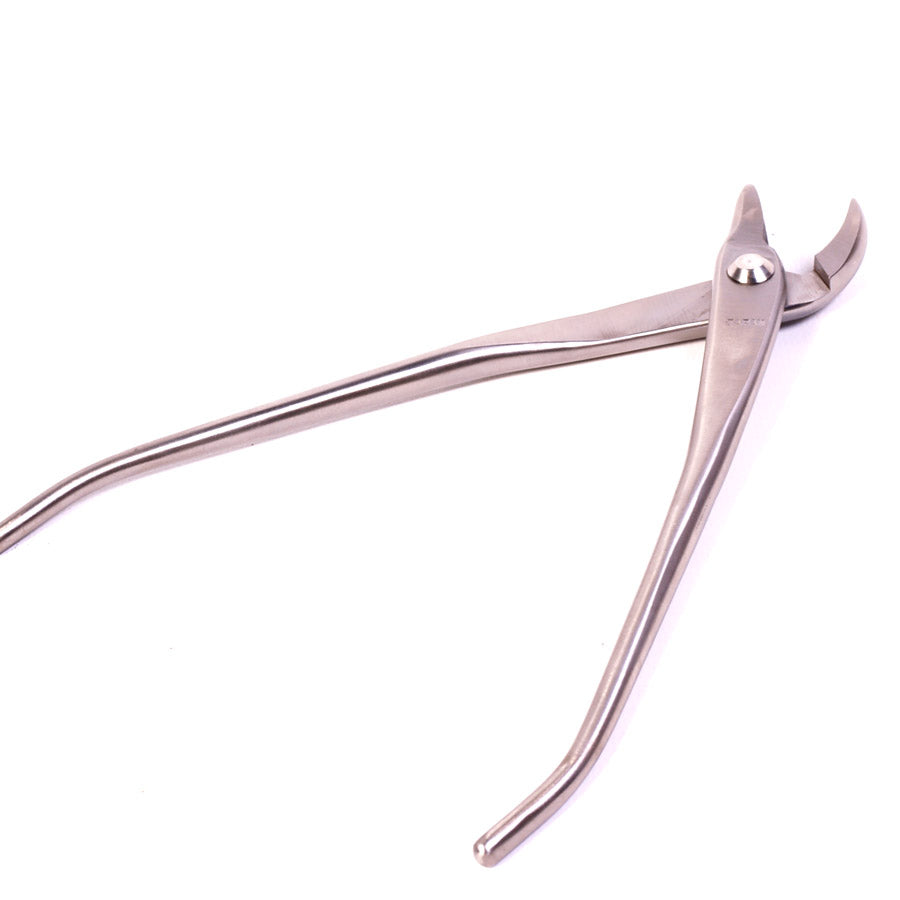 Jintang à bec courbé, acier inoxydable, qualité supérieure japonaise