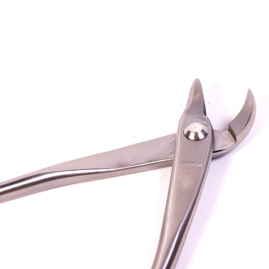 Jintang à bec courbé, acier inoxydable, qualité supérieure japonaise