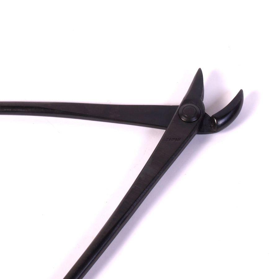 Jintang à bec courbé 205 mm, carbone, qualité supérieure japonaise