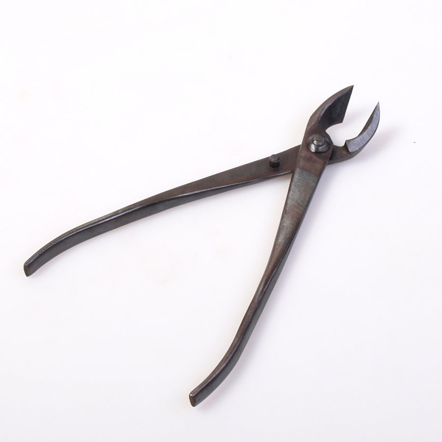 Pince à concave, qualité basique, 210 mm