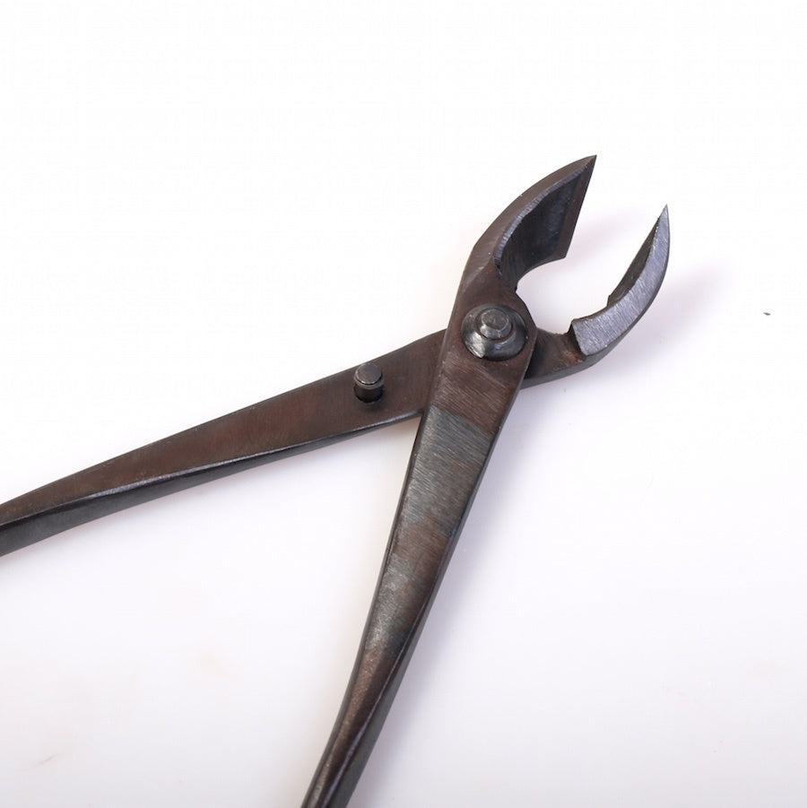 Pince à concave, qualité basique, 210 mm