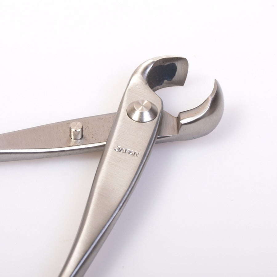Pince à nœuds 175 mm, acier inoxydable, qualité japonaise supérieure