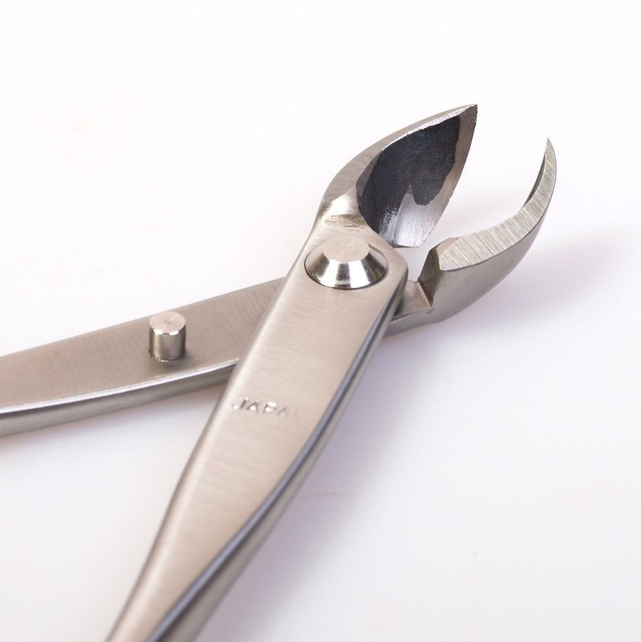 Pince concave 175 mm double ronde, acier inoxydable de qualité supérieure japonaise