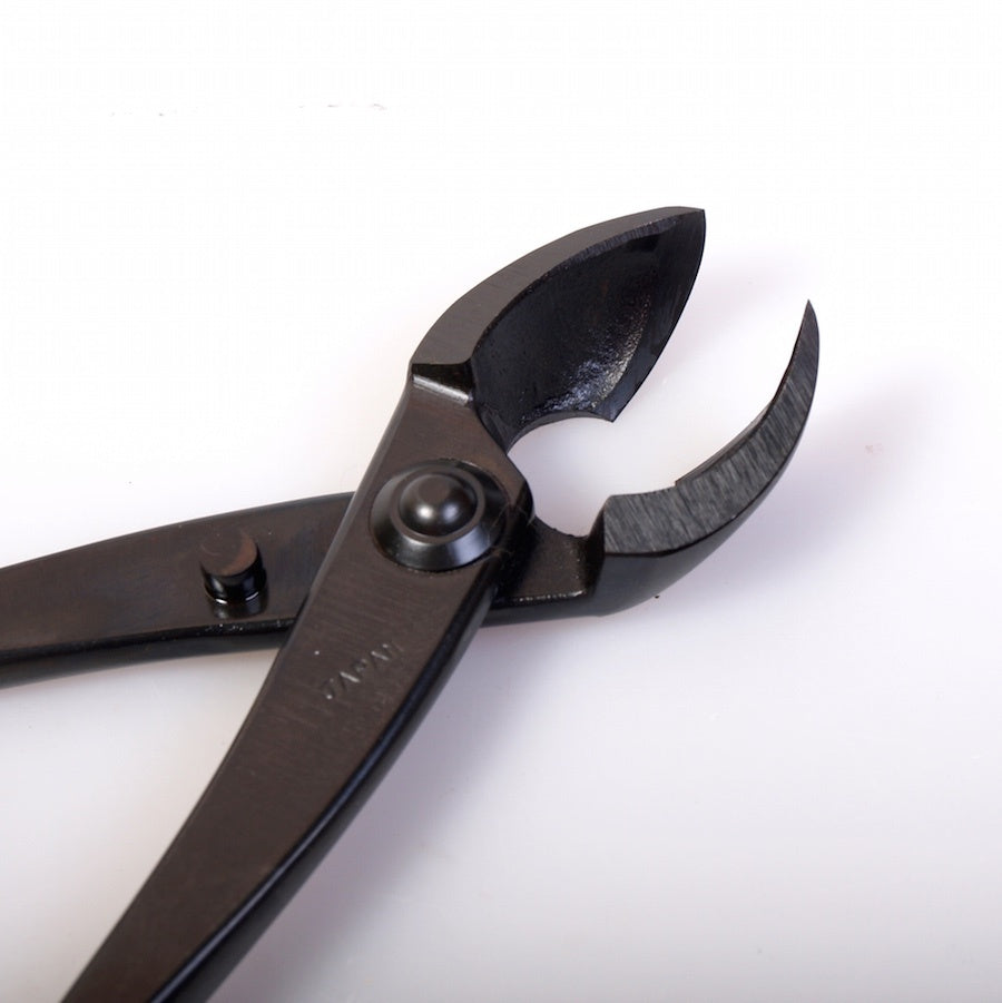 Pince concave 205 mm, double ronde, qualité japonaise carbone