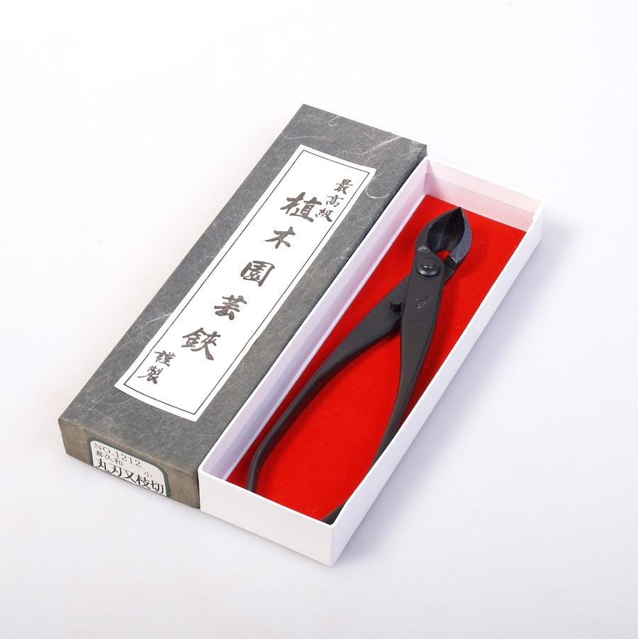 Pince concave 170 mm, double ronde, qualité japonaise carbone