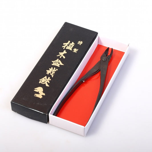 Pince concave mini double ronde, qualité japonaise carbone