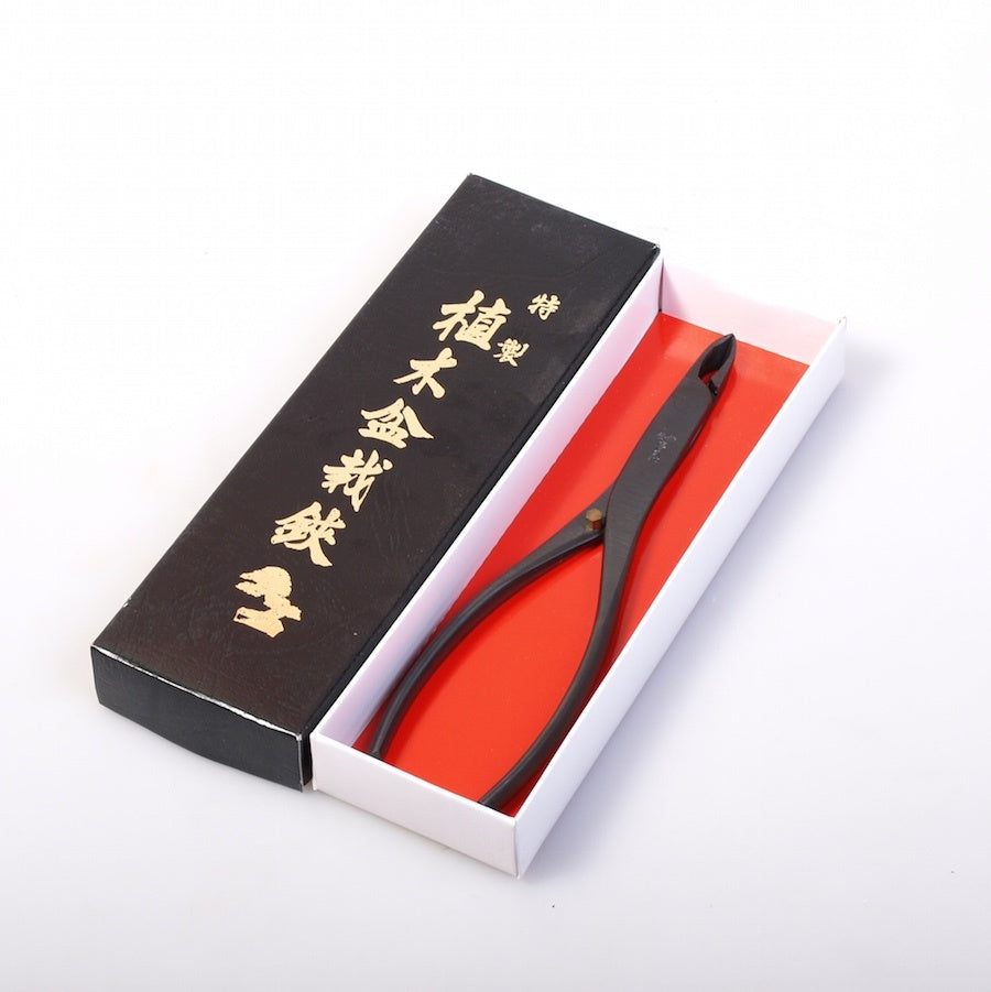 Pince concave mini, qualité japonaise, 180 mm carbone