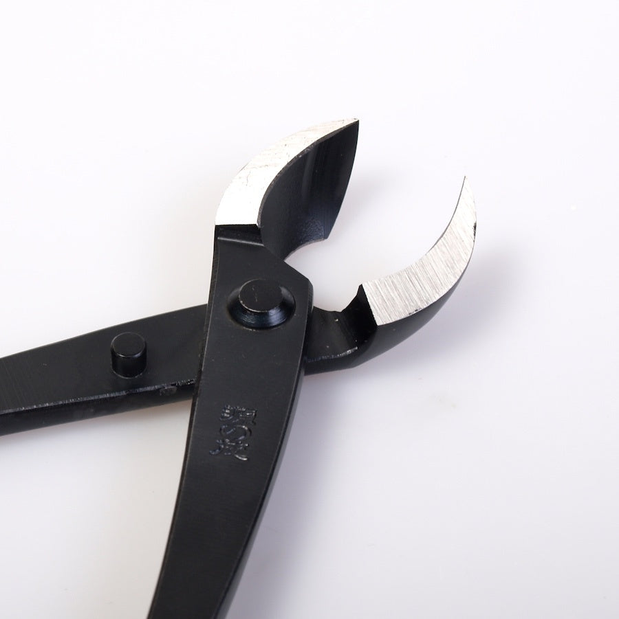 Pince concave double ronde 210 mm carbone