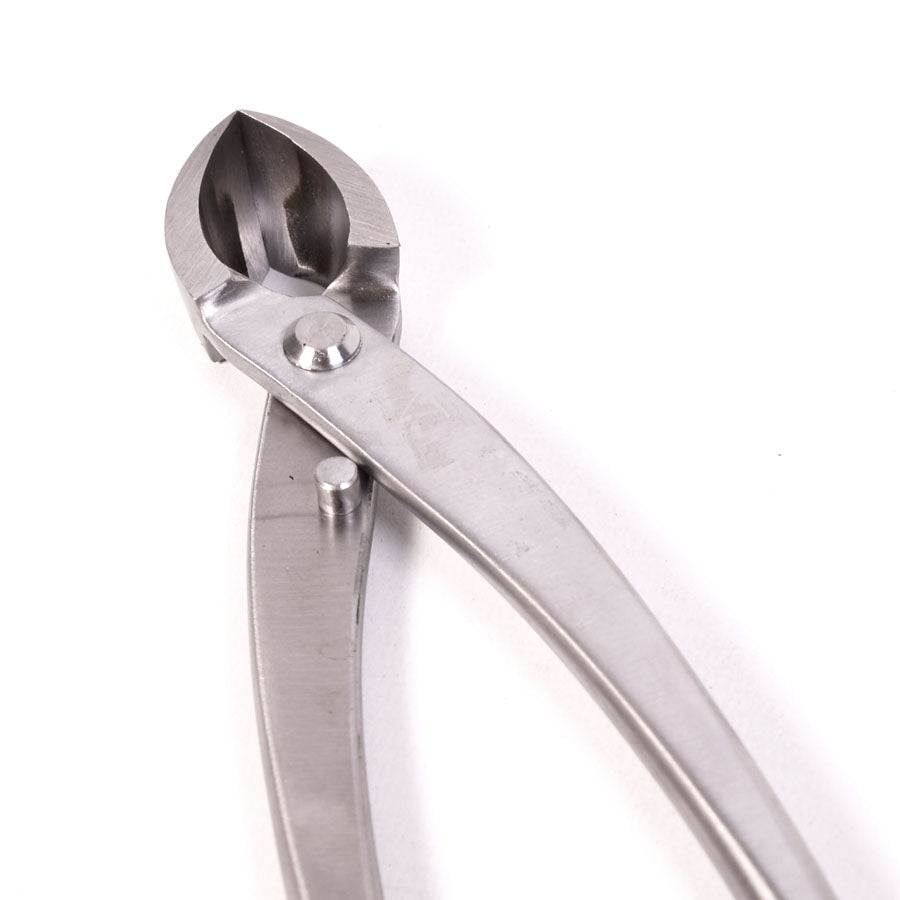 Pince concave de bonne qualité en acier inoxydable 290 mm XL