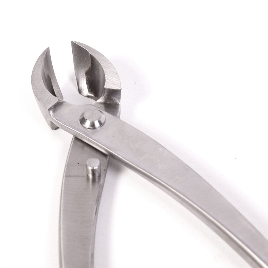 Pince concave de bonne qualité en acier inoxydable 290 mm XL