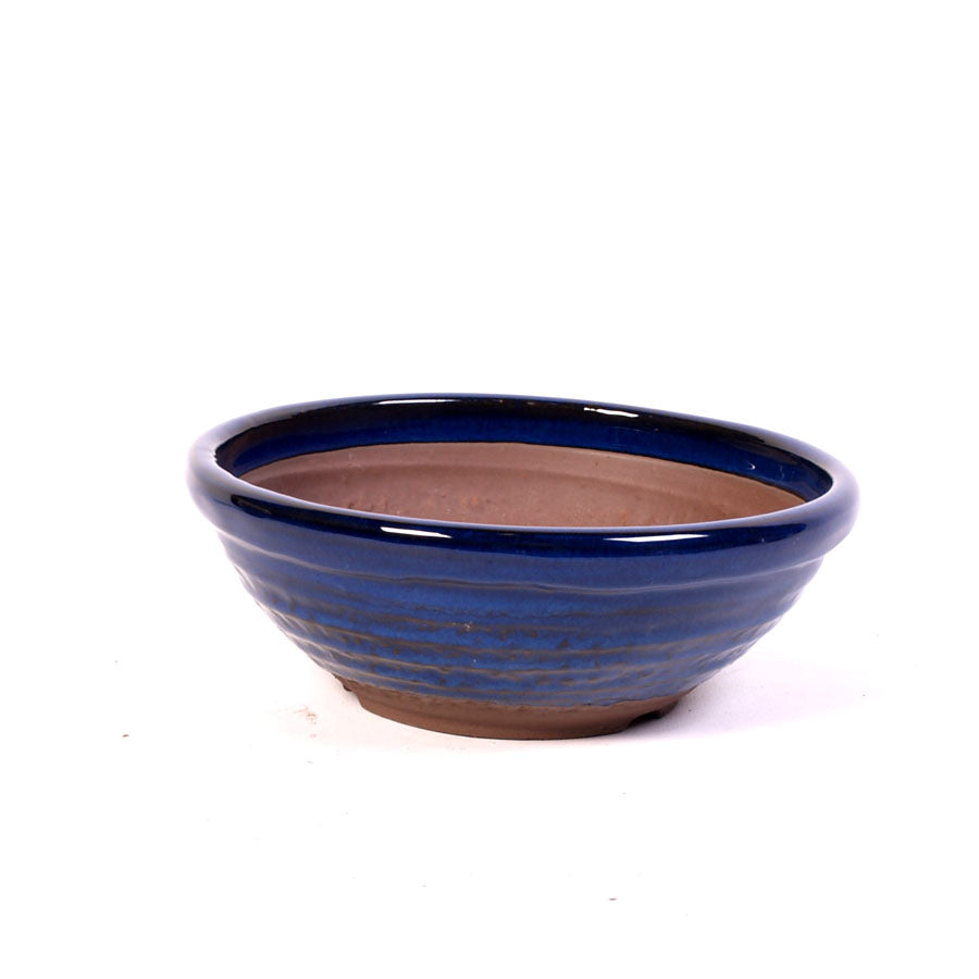 Pot à bonsaï rond bleu foncé 20 cm