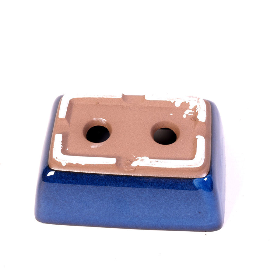 Bac à bonsaï bleu rectangulaire 16 cm