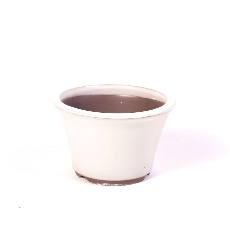 Bac à bonsaï crème rond à rebord extérieur 16,5 cm