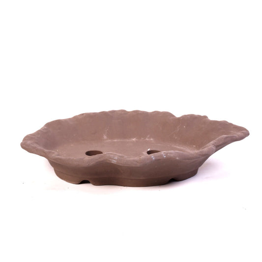 Bac à bonsaï brun ovale en forme de coquillage 26,5 cm