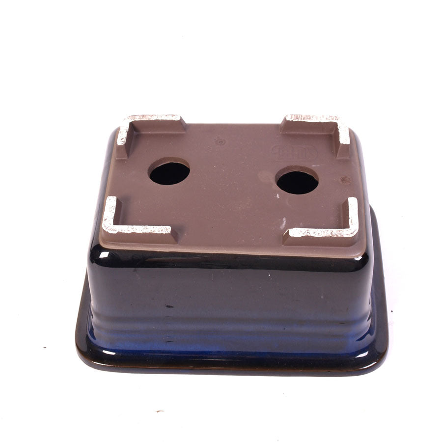 Pot à bonsaï bleu foncé rectangulaire avec rebord extérieur 22 cm