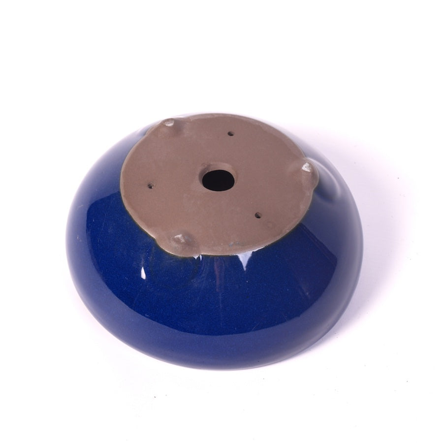 Bac à bonsaï bleu rond 19 cm