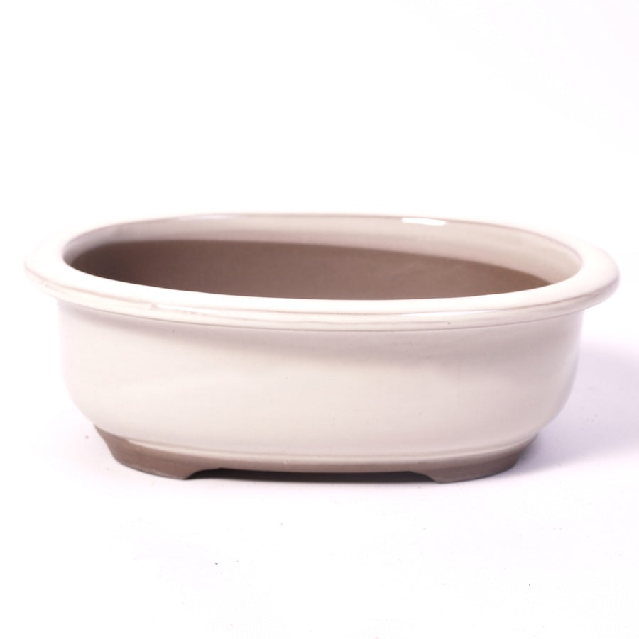Bac à bonsaï crème ovale 20,5 cm