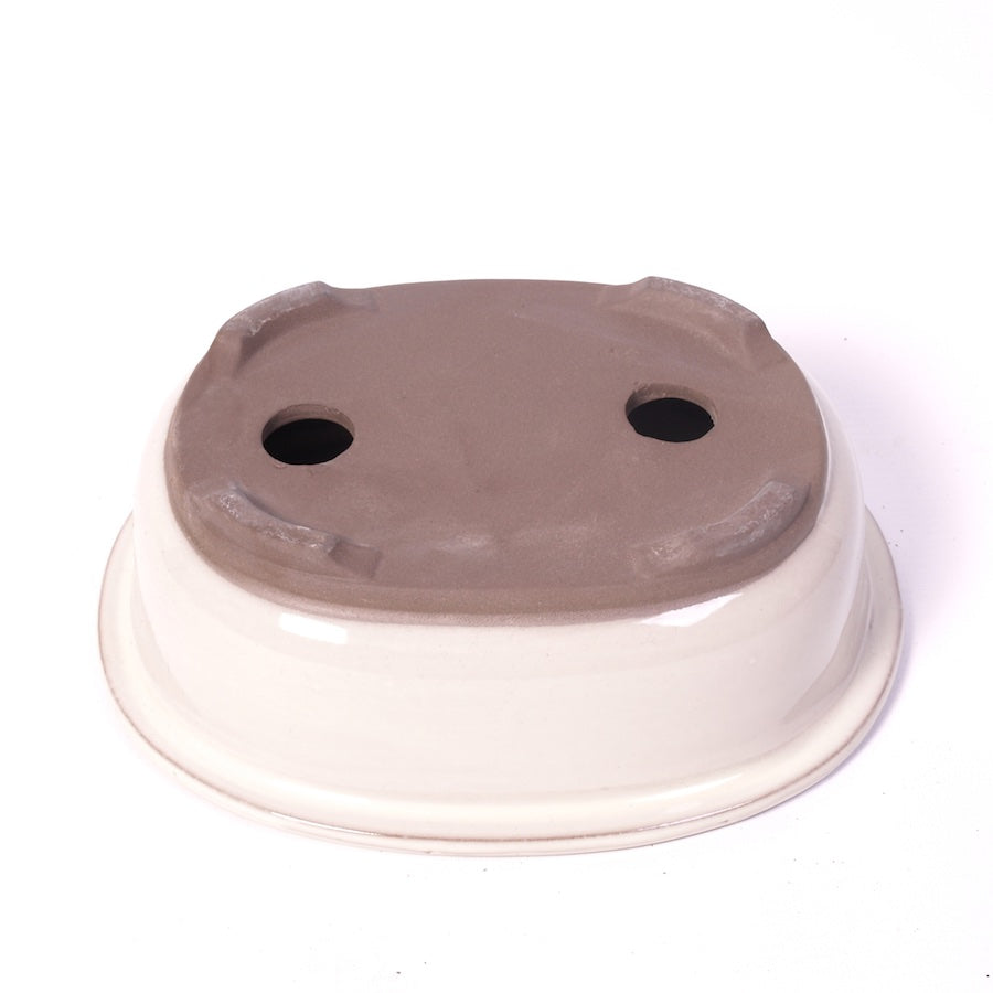 Bac à bonsaï crème ovale 20,5 cm