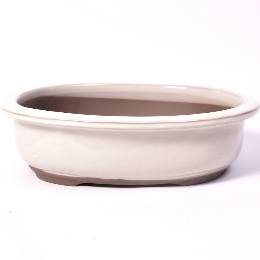 Bac à bonsaï crème ovale 24 cm