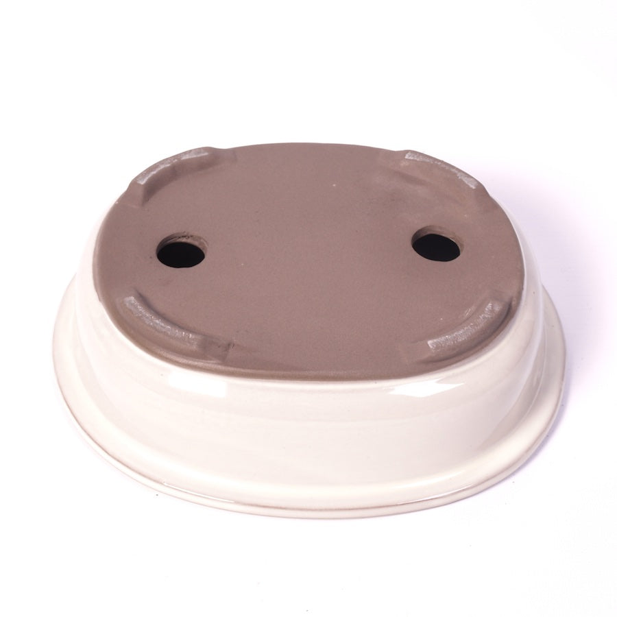 Bac à bonsaï crème ovale 24 cm