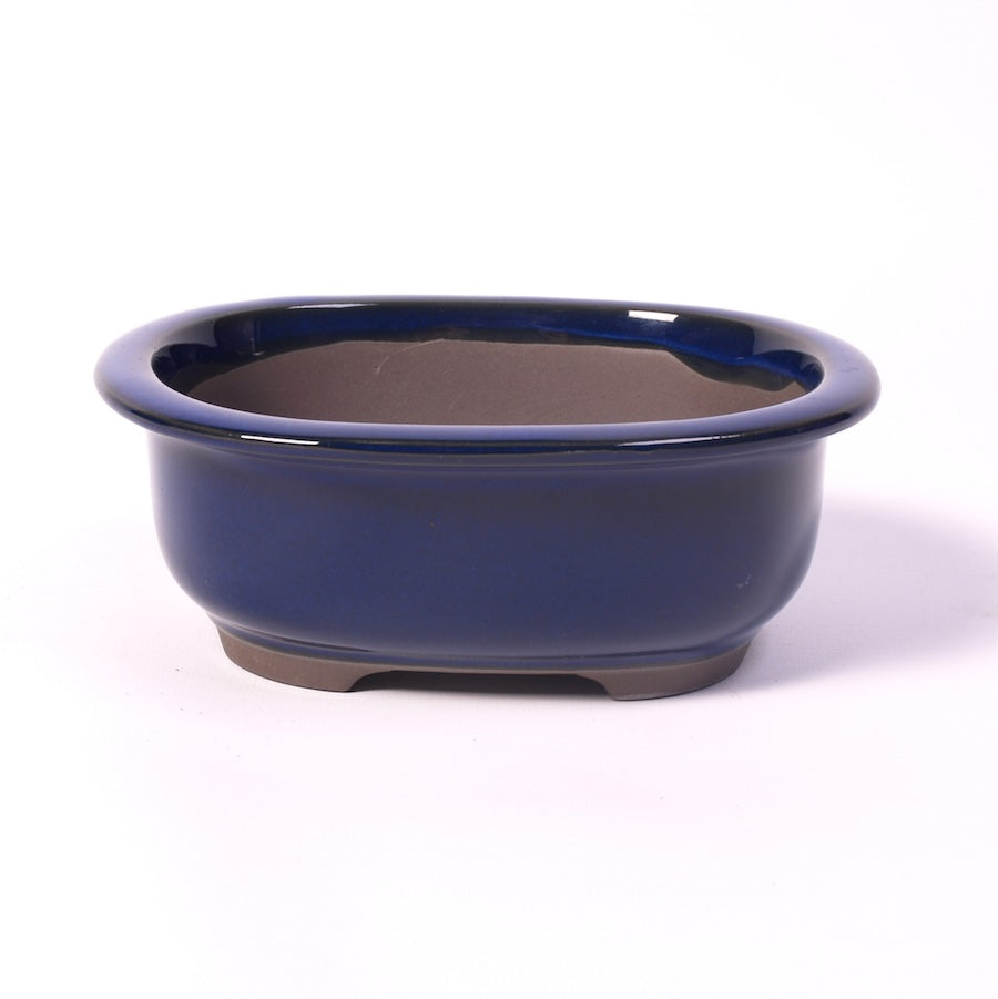 Bac à bonsaï bleu ovale 17,5 cm