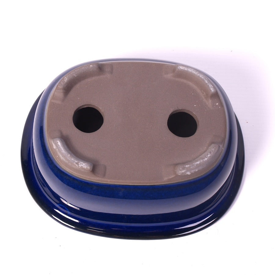 Bac à bonsaï bleu ovale 17,5 cm