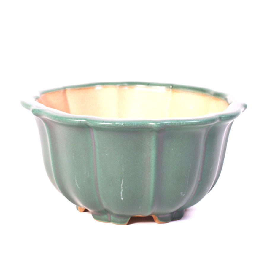 Pot à bonsaï mi-haut avec bord festonné vert 15 cm