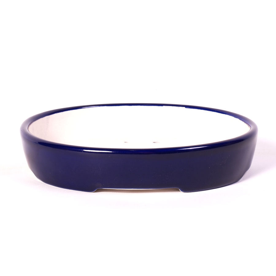 Pot à bonsaï ovale bleu 18 cm