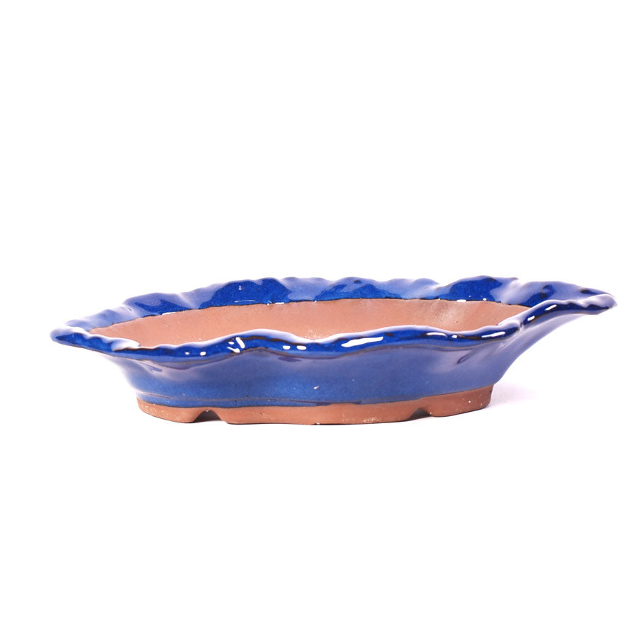 Pot à bonsaï en forme de coquillage bleu 26 cm