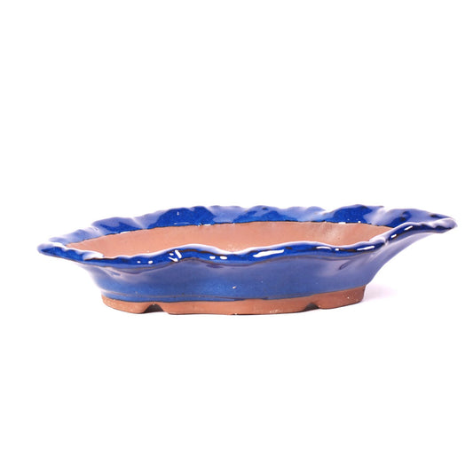 Pot à bonsaï en forme de coquillage bleu 26 cm