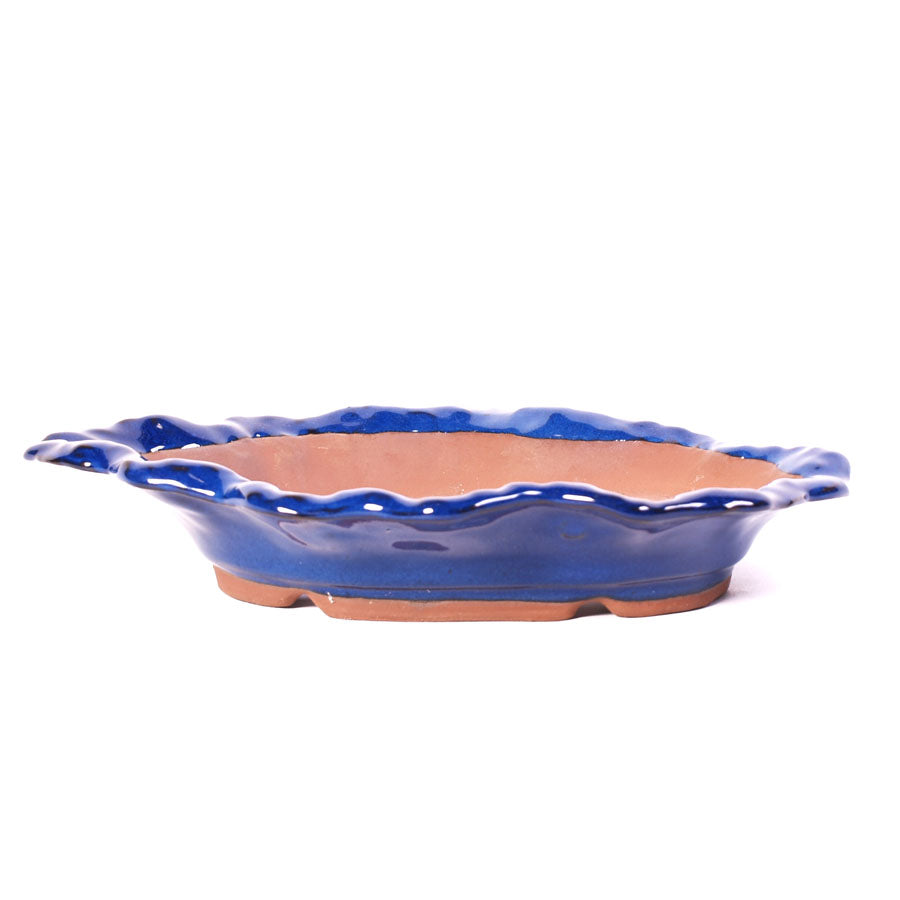 Pot à bonsaï en forme de coquillage bleu 26 cm