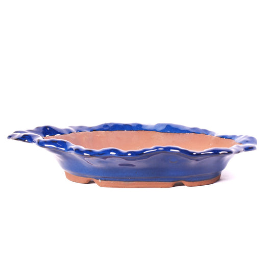 Pot à bonsaï en forme de coquillage bleu 26 cm