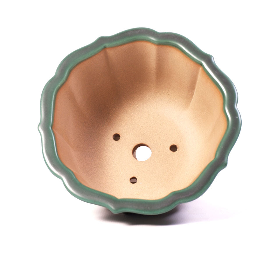 Pot à bonsaï mi-haut avec bord festonné vert 15 cm