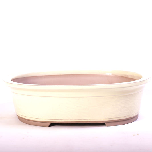 Pot à bonsaï ovale crème, modèle mi-haut, paroi brute, rebord vers l'extérieur