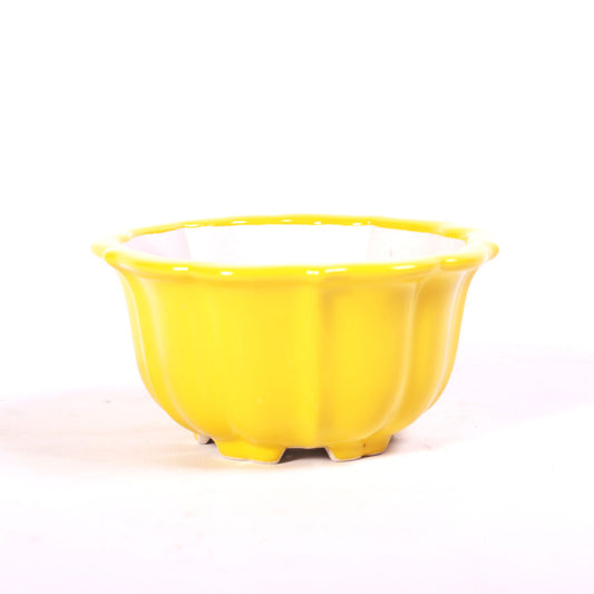 Pot à bonsaï mi-haut avec bord festonné jaune 15 cm